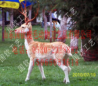 供应仿真梅花鹿模型，照相用仿真老虎道具